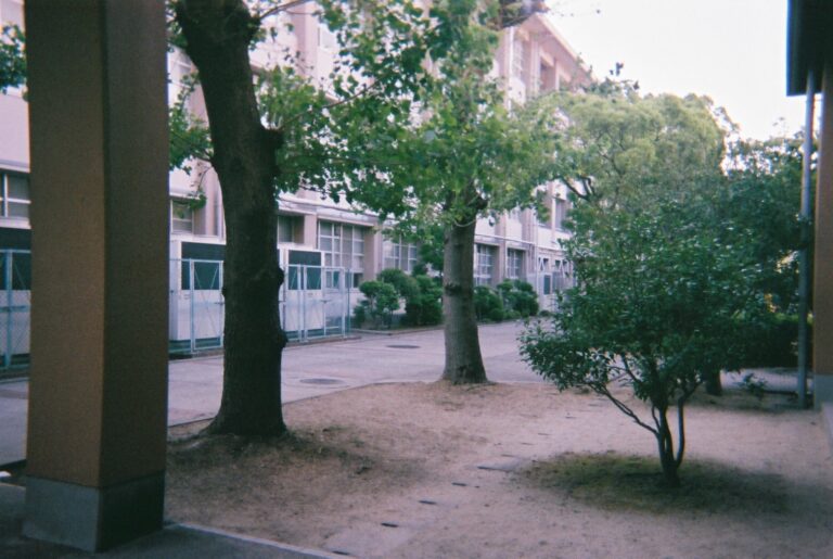 西寝ギャラリー 大阪府立西寝屋川高等学校 西寝ギャラリー 大阪府立西寝屋川高等学校
